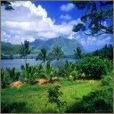 Аватара пользователя