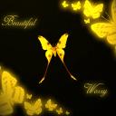 Аватара пользователя