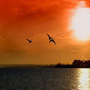 Аватара пользователя