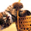 Аватара пользователя